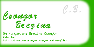 csongor brezina business card